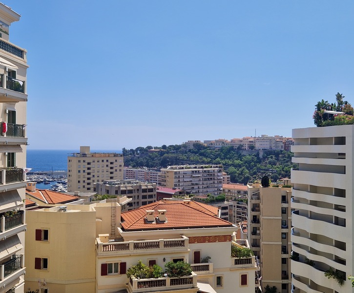 RENOVATION LUXUEUSE BEVERLY PALACE vue Monaco-Ville et mer